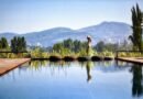 Exploring the Wellness Retreats at Six Senses Douro Valley, Portugal