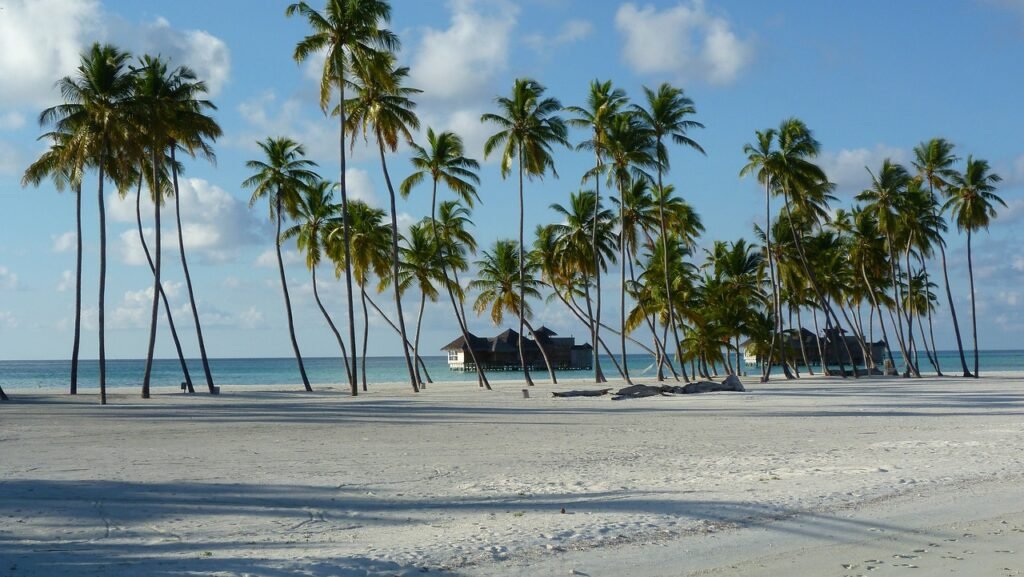 Island Paradise: Luxury Honeymoon Destinations In The Maldives