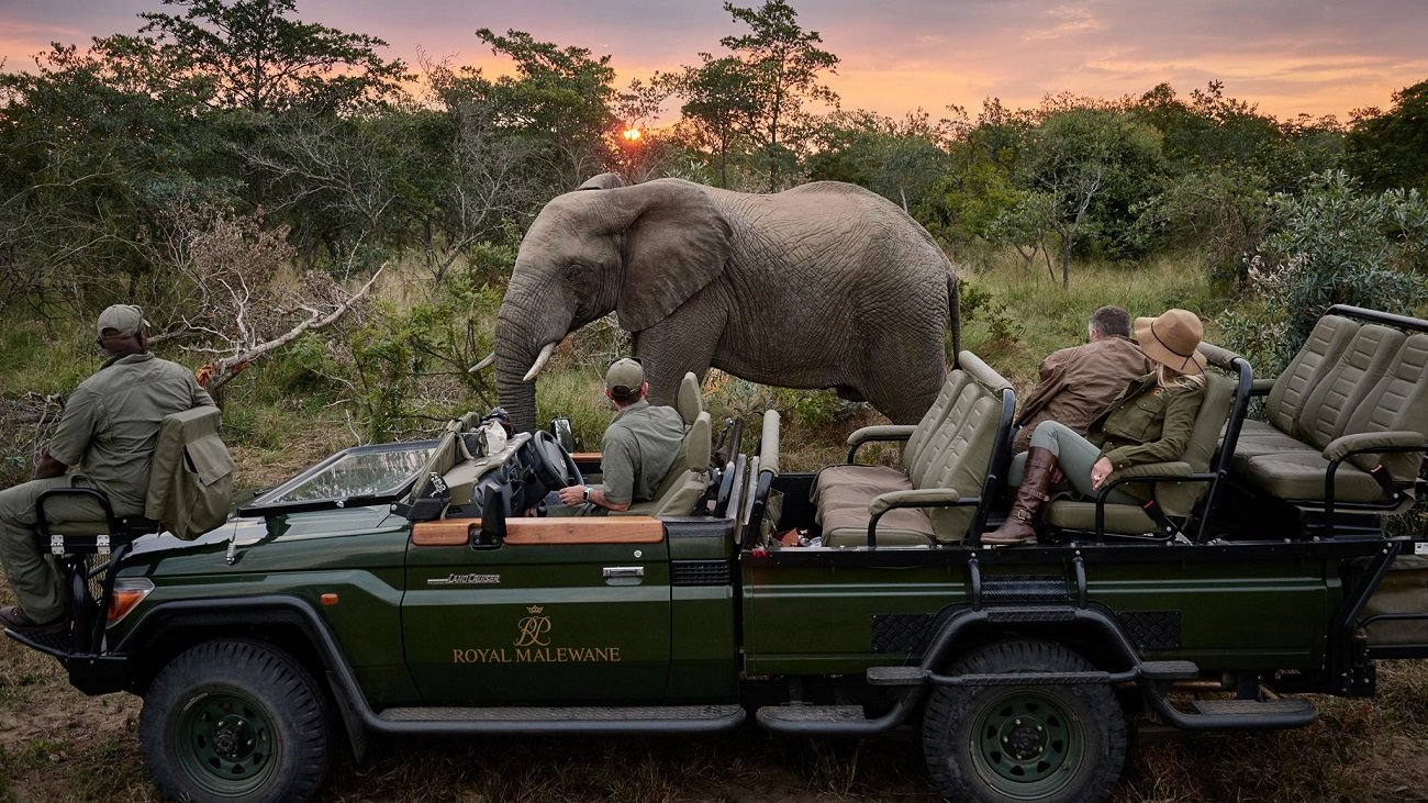 The Top Luxury Safari Experiences For Families