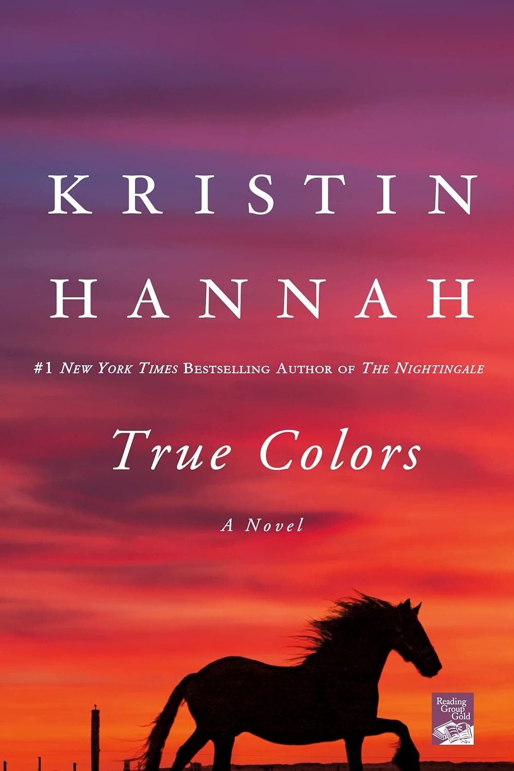 True Colors: A Novel     Paperback – January 5, 2010