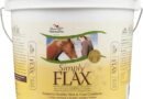 Manna Pro Simply Flax for Horses Review